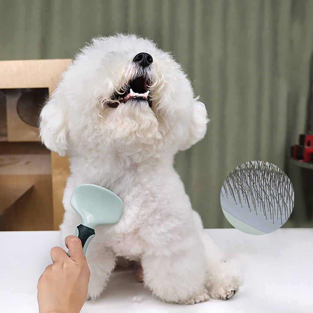 Perfect Pet Grooming Kit