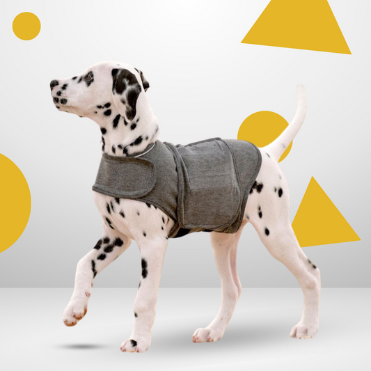 Dog Anxiety Vest